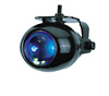 Projection Lights Blue - Black Rim