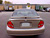 Maxima OEM Spoiler (2000) - Painted