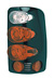 Chevy Suburban/GMC Yukon 00-02 Paintable Euro Taillight (TYC)